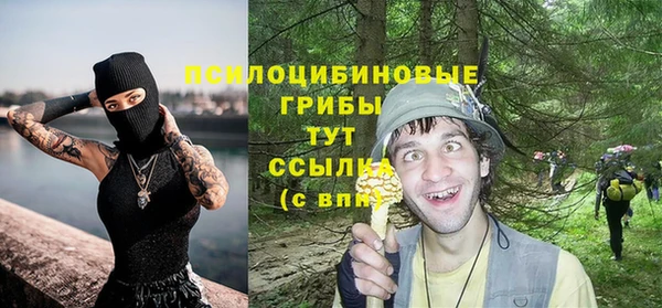 спиды Ростов
