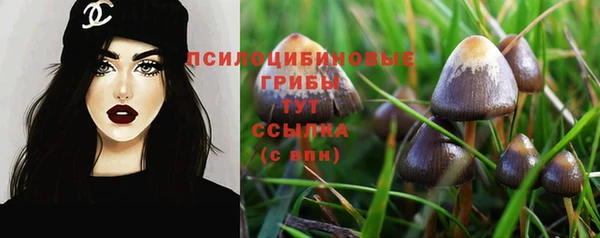 тгк Баксан