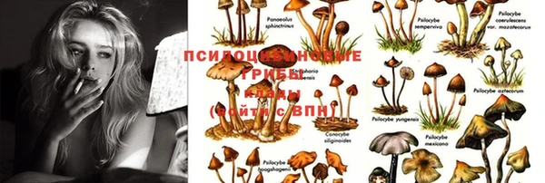 не бодяженный Балахна
