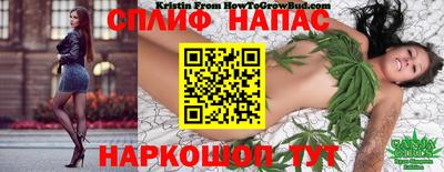mdma Можга