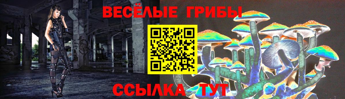 Галлюциногенные грибы GOLDEN TEACHER  Галлюциногенные грибы MAGIC MUSHROOMS  Бор  Вход с VPN 