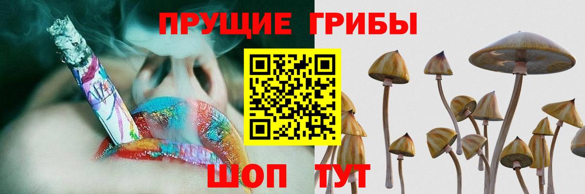 Псилоцибиновые грибы Magic Shrooms Бор